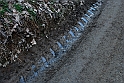 S. Damiano d'Asti - Ultima neve e brina_025
